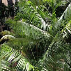 East Meadows (D16), Condominium #467740571